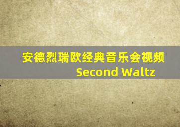 安德烈瑞欧经典音乐会视频 Second Waltz